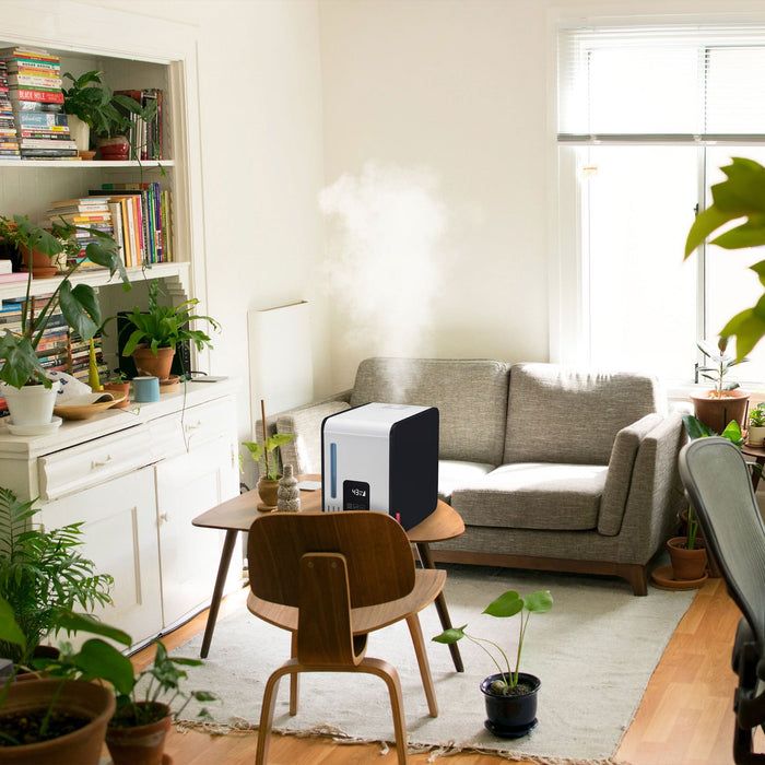 ZenHome comfort collection